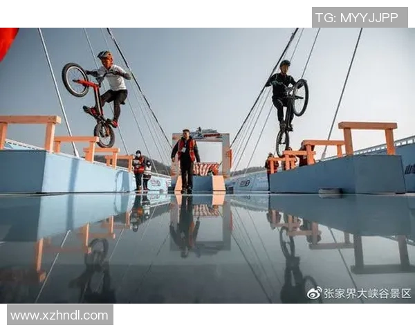 深圳极限运动队与上海极限运动队赛后战术分析与复盘探讨