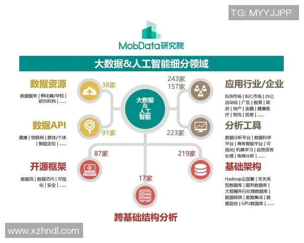 西安极限运动队攻防战术创新探索与发展全景分析